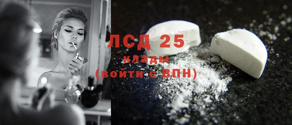 прущие грибы Балахна