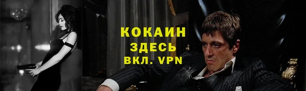 прущие грибы Балахна