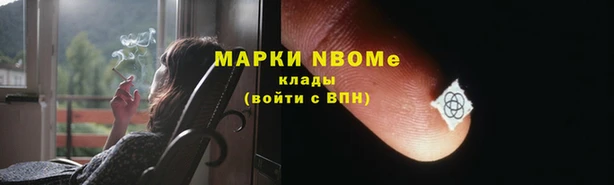 прущие грибы Балахна
