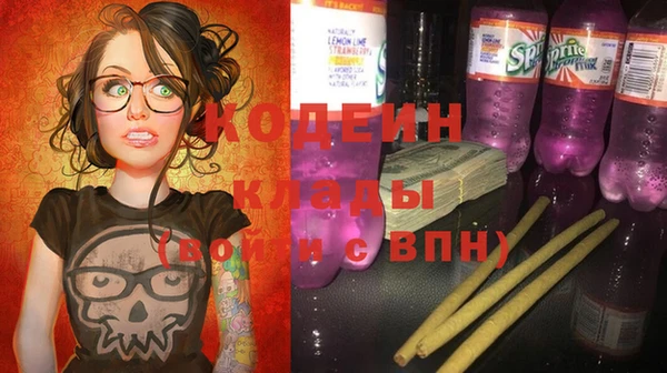 прущие грибы Балахна