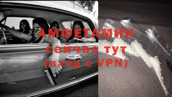 прущие грибы Балахна