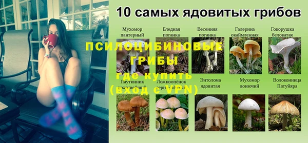 соль курить ск Балабаново