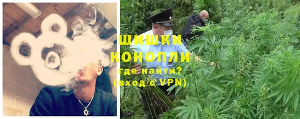 прущие грибы Балахна