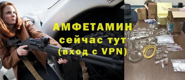 прущие грибы Балахна
