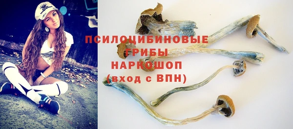 apvp Баксан